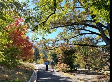 Two people walk away from the camera on a paved nature path surrounded by trees and bright fall foliage.