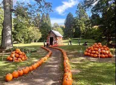 A small cottage covered in and surrounded by pumpkins with families taking photos. 