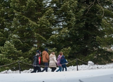A group of six people in winter gear walk outside in a snowy wooden area on a paved path.