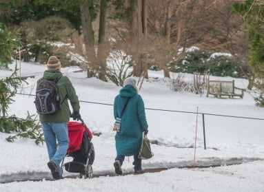 A family of two adults and a child in a stroller walk away from the camera in a snowy landscape on a paved path.