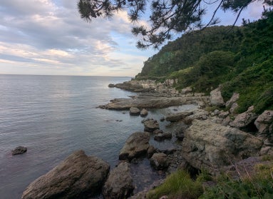 A coastal hiking path in Busan, South Korea with green hills and rocky coast.
