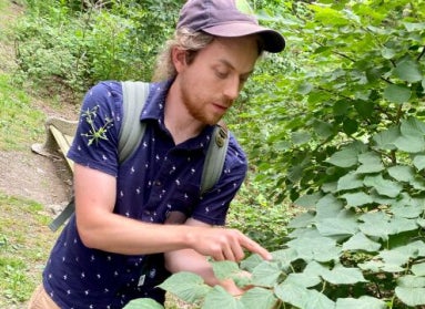 A man wearing a hat and a backpack holds and points at the foliage of a shrub in nature. 