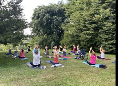 A large group of people doing yoga outdoors in a green space. 