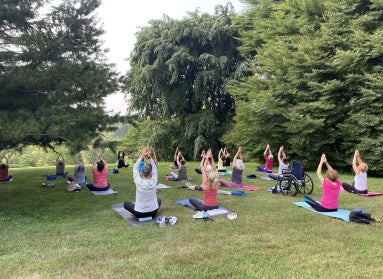 A large group of people doing yoga outdoors in a green space. 
