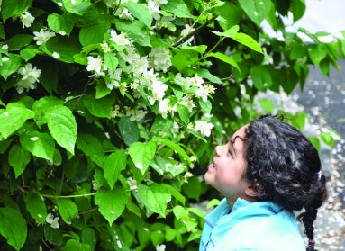 A young girl looks up smiling at a flower in bloom. 