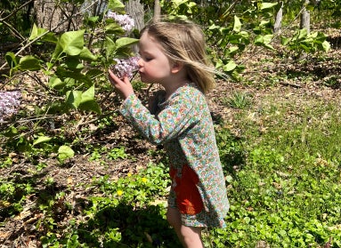 A young girl with blonde hair and a floral dress smells lilac flowers. 