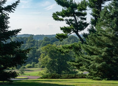 A view of public garden featuring large green trees across the landscape. 