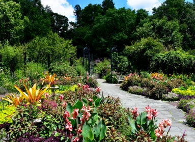 A garden in bloom with pink, purple, orange, and lime green flowers and foliage. 