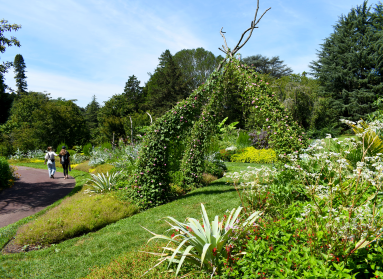 A garden in bloom featuring a trellis constructed of repurposed tree limbs for flowering vines with two people walking on a path to the left admiring it. 