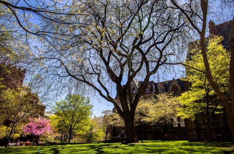 Blanche P. Levy Park at Penn, commonly known as “College Green,” 