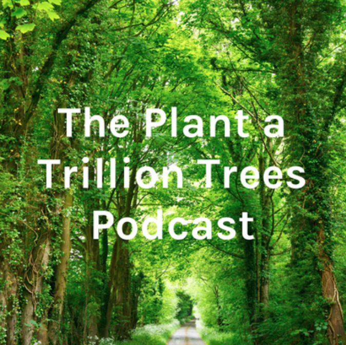 An image that reads, "The Plant a Trillion Trees Podcast" with a background of trees.