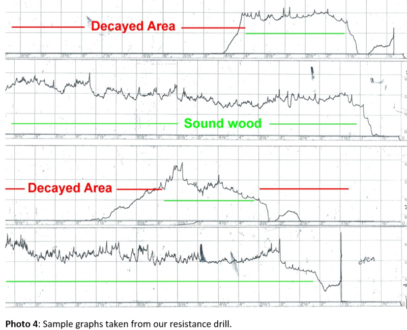 Sample graphs from resistance drill.