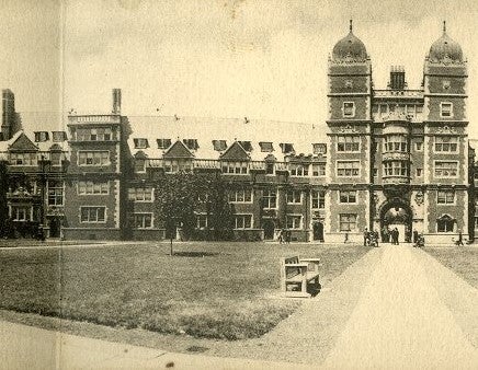 This ~1910 photo shows a tree planted in the approximate location of the ‘Quad’ Elm, potentially making it the oldest photo of the tree.