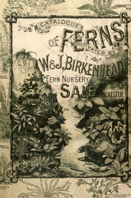 The English fern nursery catalogue from which all ferns for the 1899 fernery were ordered. Photo from the R. Gutkowski Slide Collection.