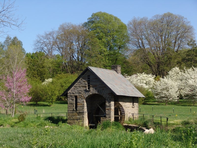 A stone pumphouse in a field of trees blooming with pink and white flowers.