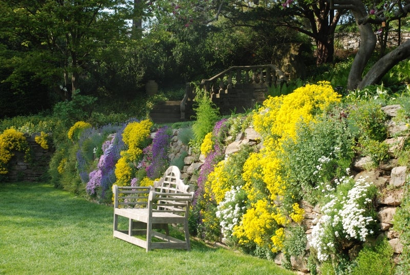 A rock wall blooming with yellow, purple, green, and white flowers with a bench in front of it. 