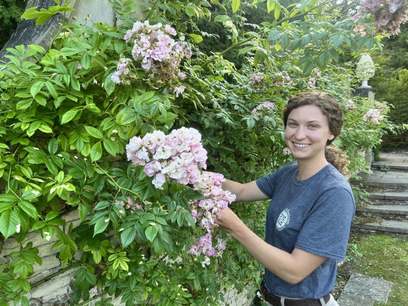 A woman in a blue t-shirt smiles with her hands in a pink rose bush.