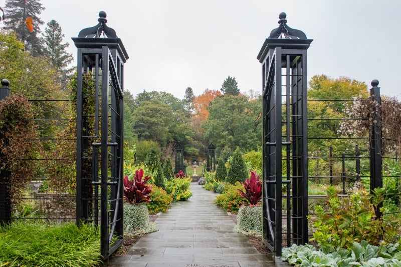 A gated garden filled with fall color. 