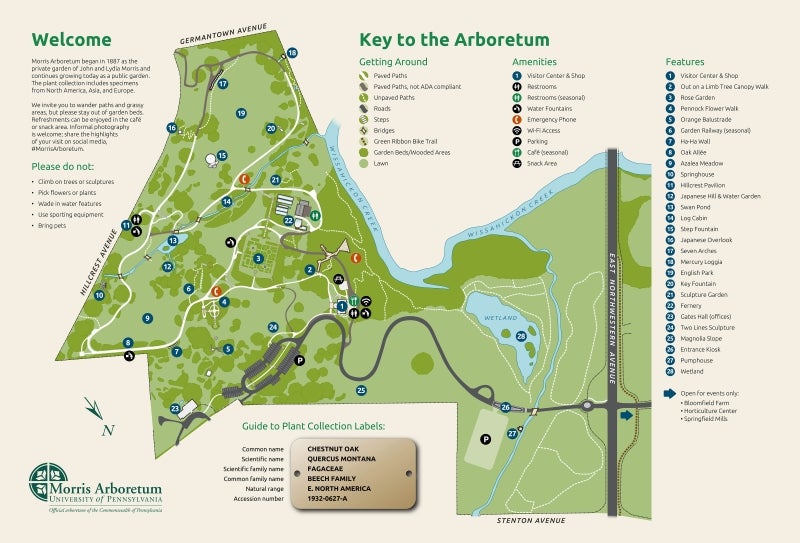 Map of the Morris Arboretum 