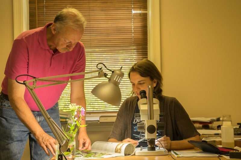 A man and woman at a table with a microscope, open catalog, lamp, and plant specimen.