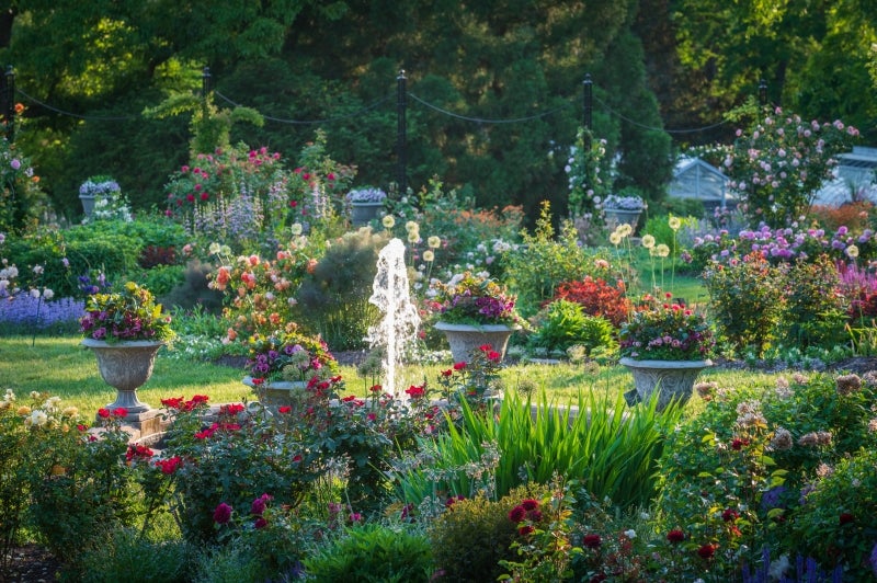 A sweeping view of a rose garden in bloom with a fountain in the center