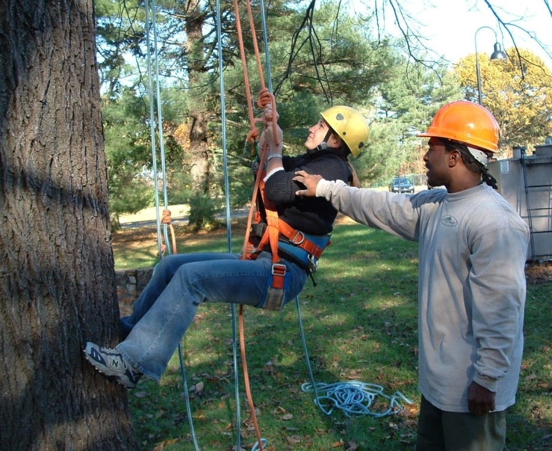 A woman attached to a harness learning how to climb a tree from a male arborist.