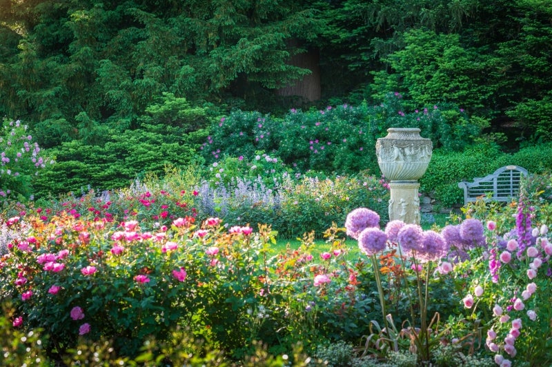 A rose garden in bloom with pink, purple, and orange flowers, as well as a stone sculpture and bench. 