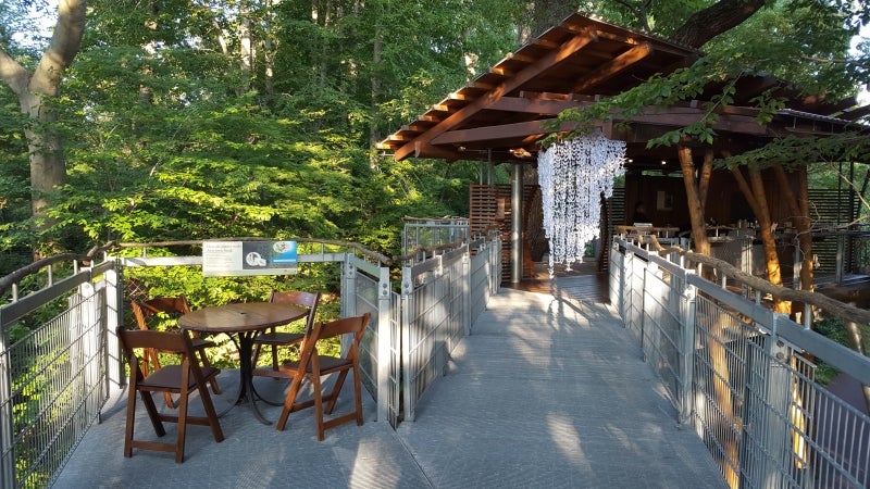 An elevated platform in the trees set up for an event.