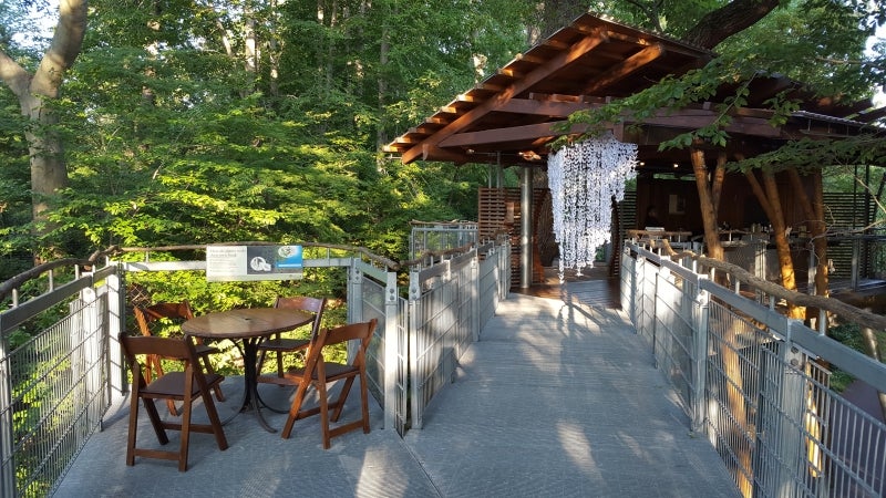 An elevated platform in the trees set up for an event. 