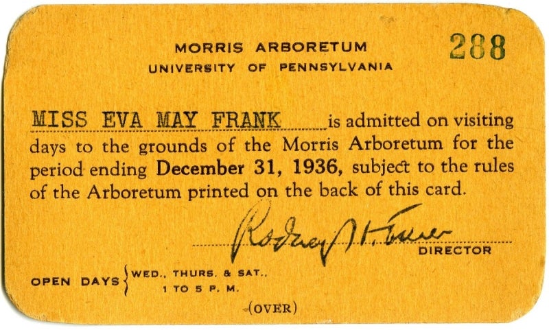 A yellow membership card to the Morris Arboretum from 1935.