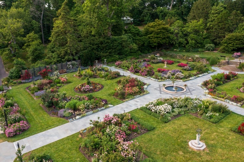 An aeriel shot of a rose garden divided into four quadrants by paved pathways.