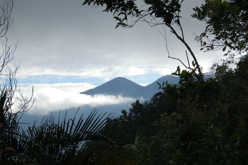 A landscape shot of dense plant life in the foreground and two peaks shrouded by clouds in the background.