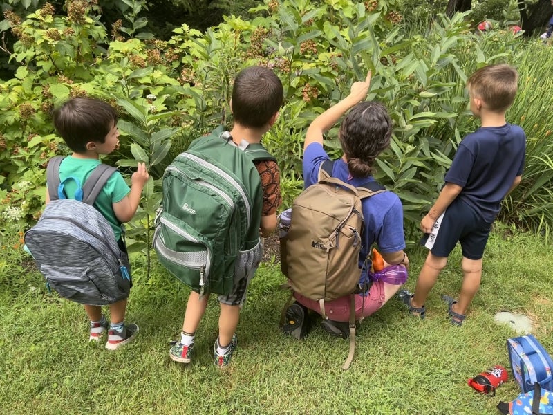 Three children and a camp counselor kneel with their backs to camera and look at a green plant. 