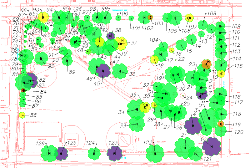 An IntelliCAD map of the tree assessment for Russo Park in Northeast Philadelphia. 