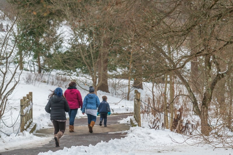 A group of four people wearing winter coats walk on a path through a wooded setting covered in snow. 