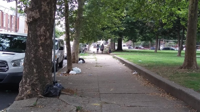 A tree growing out from the sidewalk that overgrown it's pit, displacing the sidewalk.