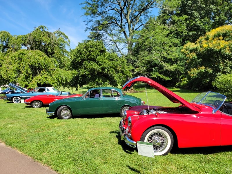 Classic cars parked on grass