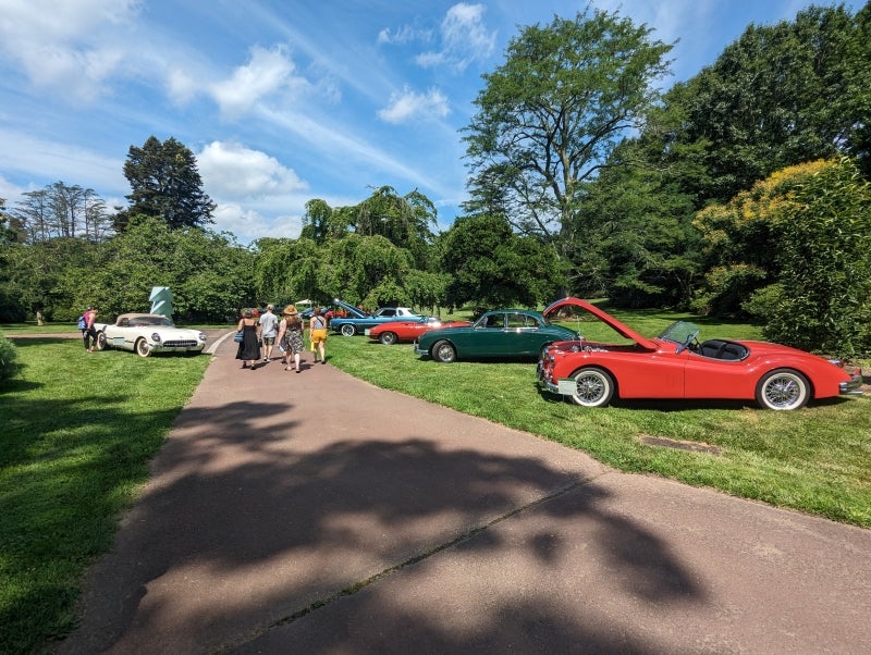 People walking between classic cars parked on grass