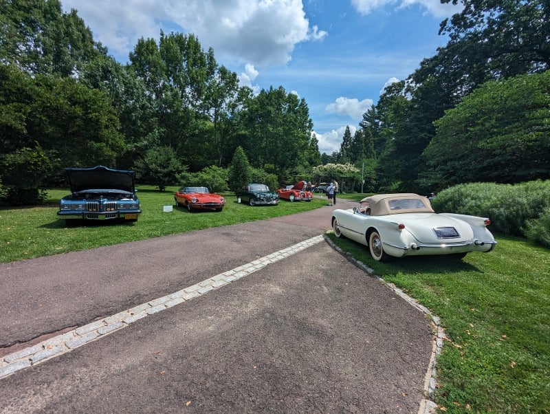 A white 1954 Chevrolet Corvette with other classis cars parked on grass