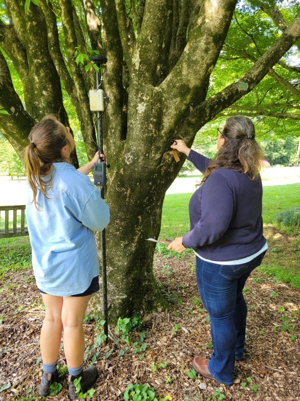 Two women stand in front of a tree.