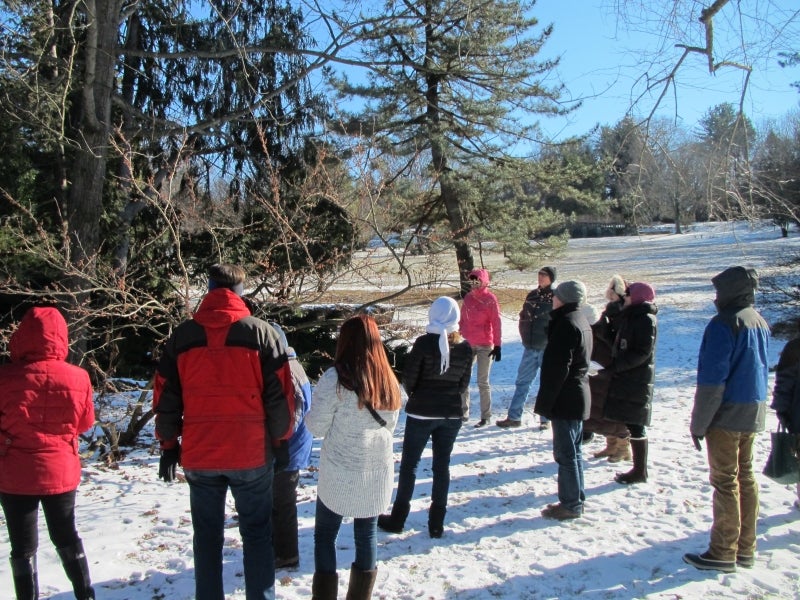 A group of people stand in the snow wearing winter clothing looking at trees. 