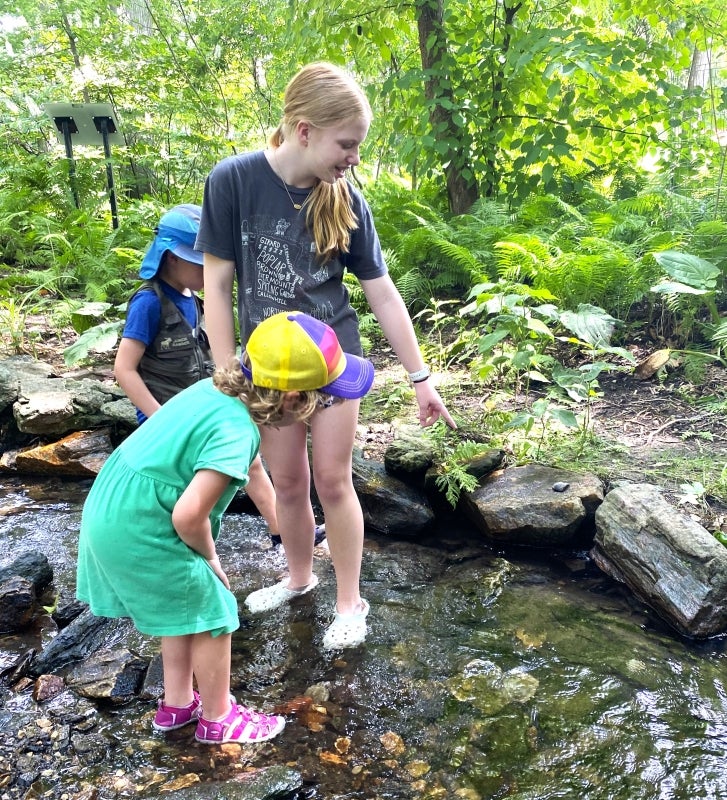 A young girl points into a creek while a child looks on. 