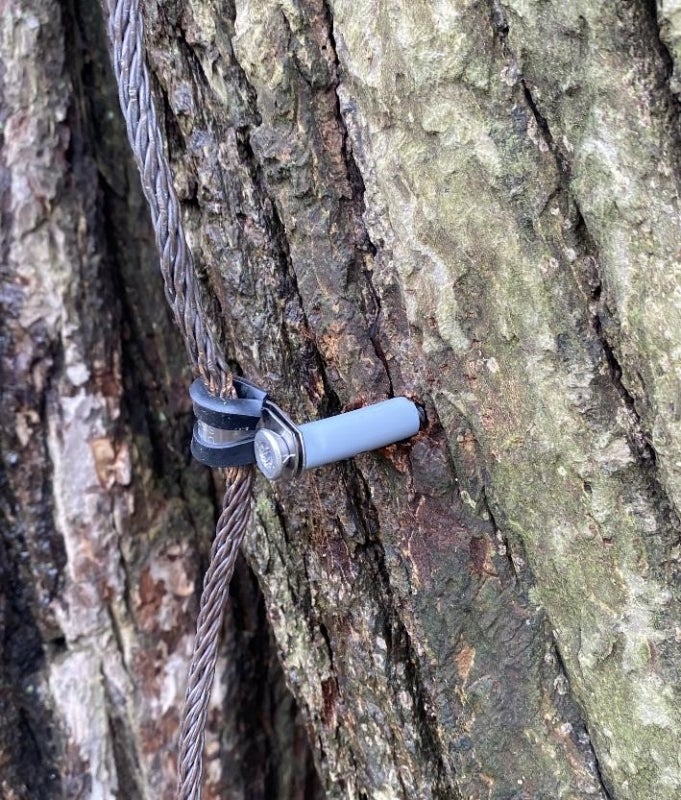 A closeup of an attachment system installed into the trunk of a tree.