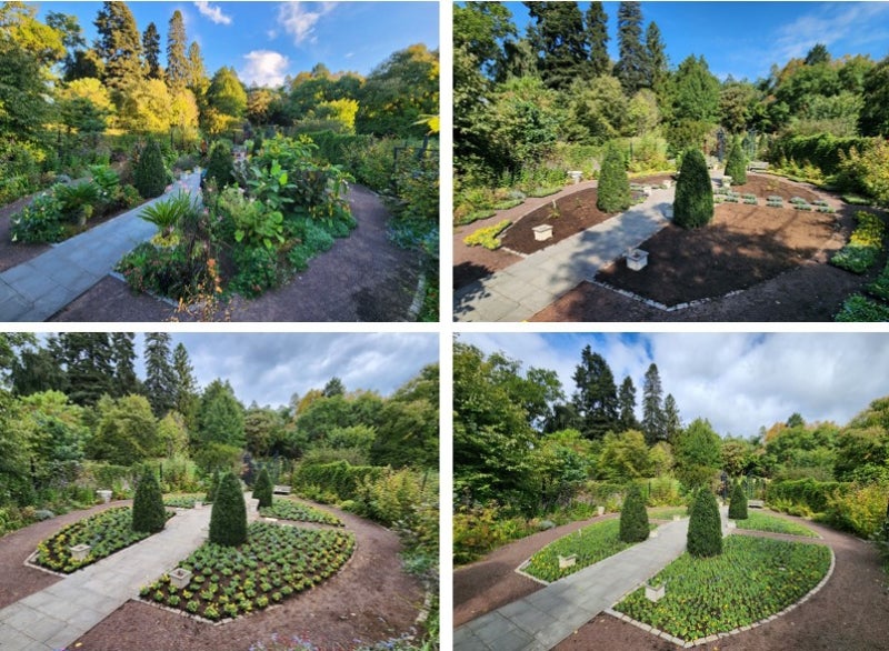 Four photos of the same garden in different phases of plantings.
