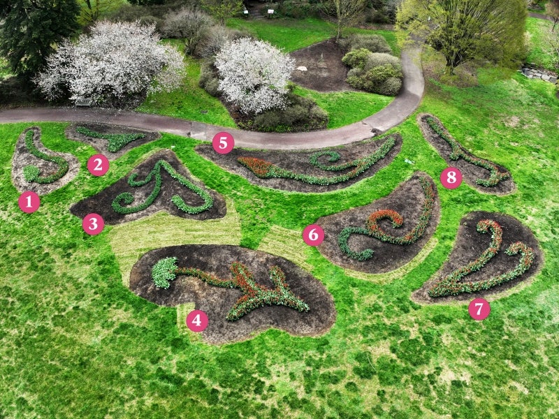 An aerial shot of eight paisley-shaped numbered garden beds.
