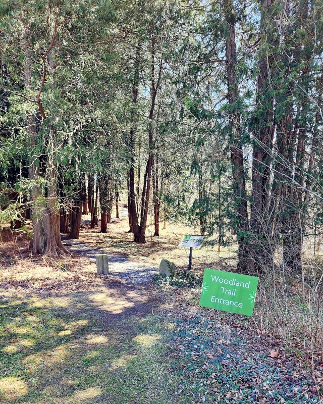 A path leading through tall trees with a green sign that reads, "Woodland Trail Entrance."
