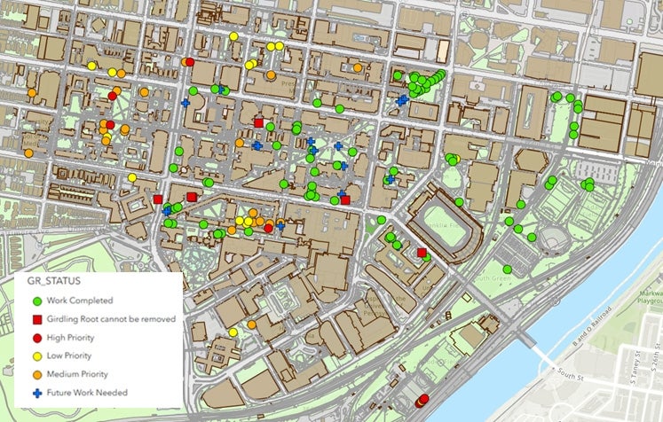 A map of the University of Pennsylvania of trees that have had girdling root remediation.
