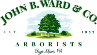 A logo of an illustration of a tree that reads, "JOHN B. WARD & CO. ARBORISTS, BRYN MAWR, PA"