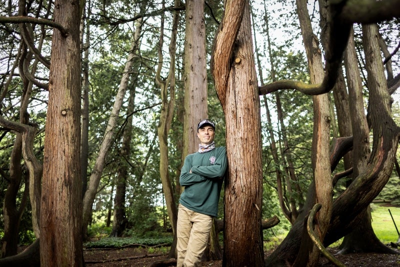 A man in a green shirt and green cap leans against a large brown tree trunk