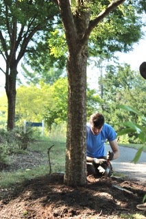 Young man crouches at the base of a tree